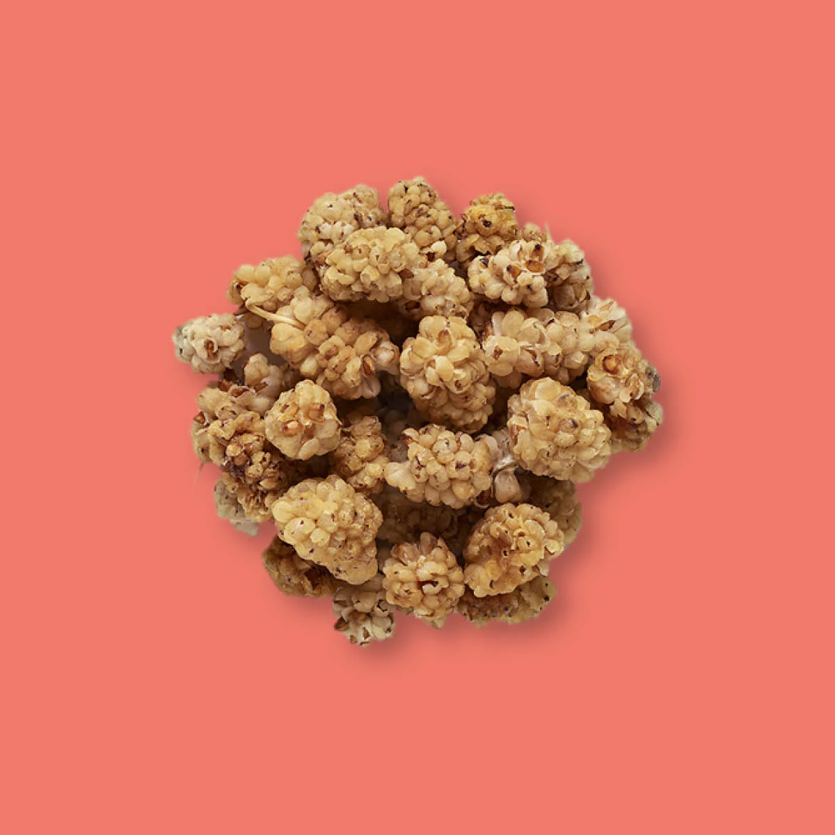 Organic Dried White Mulberries - Image 3