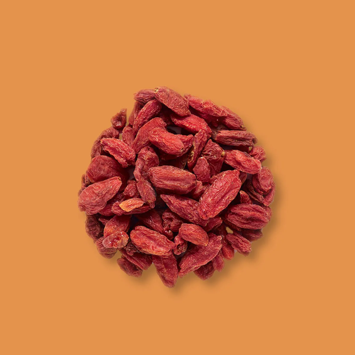 Organic dried Goji Berries - Image 3