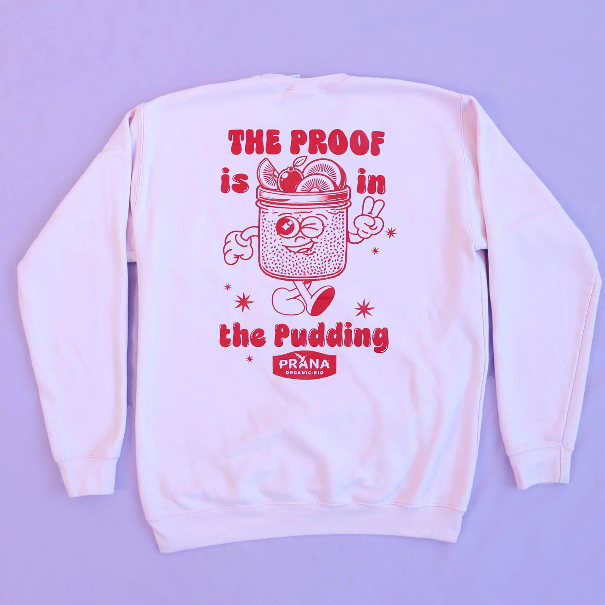 Pink Crew Neck Sweater – Overnight Chia - Image 3